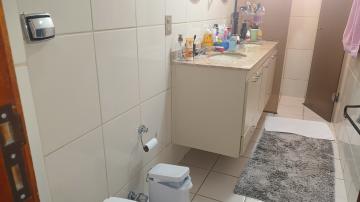 Alugar Apartamento / Padr&atilde;o em S&atilde;o Jos&eacute; do Rio Preto R$ 1.500,00 - Foto 6