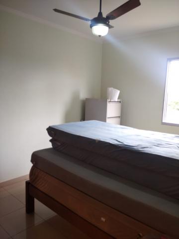Alugar Apartamento / Padr&atilde;o em S&atilde;o Jos&eacute; do Rio Preto R$ 1.000,00 - Foto 3