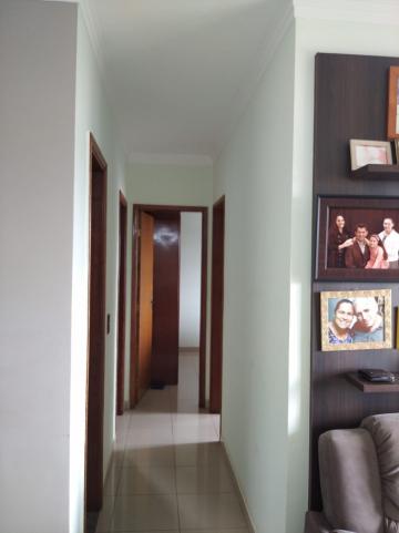 Alugar Apartamento / Padr&atilde;o em S&atilde;o Jos&eacute; do Rio Preto R$ 1.000,00 - Foto 8