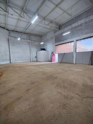 Comprar Comercial / Sala em S&atilde;o Jos&eacute; do Rio Preto - Foto 7