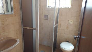 Alugar Casa / Padr&atilde;o em S&atilde;o Jos&eacute; do Rio Preto R$ 1.800,00 - Foto 12