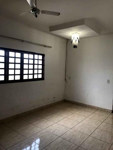 Alugar Casa / Padr&atilde;o em S&atilde;o Jos&eacute; do Rio Preto R$ 1.300,00 - Foto 3
