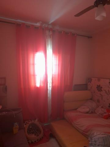 Comprar Casa / Padr&atilde;o em S&atilde;o Jos&eacute; do Rio Preto R$ 300.000,00 - Foto 11