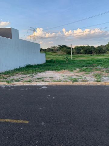 Comprar Terreno / Padr&atilde;o em Bady Bassitt R$ 85.000,00 - Foto 3
