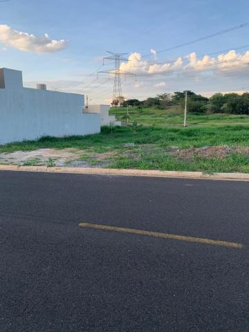 Comprar Terreno / Padr&atilde;o em Bady Bassitt R$ 85.000,00 - Foto 4