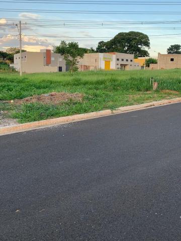 Comprar Terreno / Padr&atilde;o em Bady Bassitt R$ 85.000,00 - Foto 5