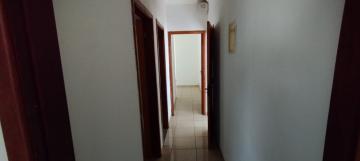 Alugar Casa / Padr&atilde;o em S&atilde;o Jos&eacute; do Rio Preto R$ 1.400,00 - Foto 4