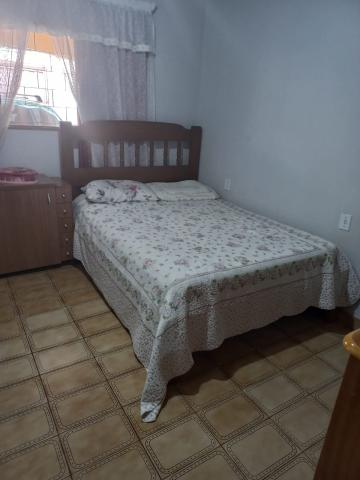 Alugar Casa / Padr&atilde;o em S&atilde;o Jos&eacute; do Rio Preto. apenas R$ 1.600,00