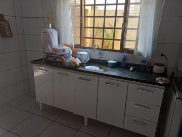 Alugar Casa / Padr&atilde;o em S&atilde;o Jos&eacute; do Rio Preto R$ 1.600,00 - Foto 13