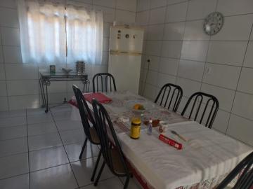 Alugar Casa / Padr&atilde;o em S&atilde;o Jos&eacute; do Rio Preto R$ 1.600,00 - Foto 14