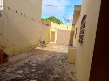 Alugar Casa / Padr&atilde;o em S&atilde;o Jos&eacute; do Rio Preto R$ 1.600,00 - Foto 16