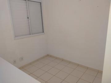 Alugar Casa / Condom&iacute;nio em S&atilde;o Jos&eacute; do Rio Preto R$ 1.800,00 - Foto 5