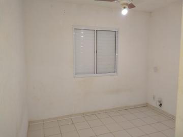 Alugar Casa / Condom&iacute;nio em S&atilde;o Jos&eacute; do Rio Preto R$ 1.800,00 - Foto 6