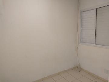 Alugar Casa / Condom&iacute;nio em S&atilde;o Jos&eacute; do Rio Preto R$ 1.800,00 - Foto 9