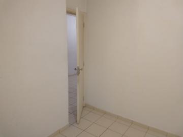 Alugar Casa / Condom&iacute;nio em S&atilde;o Jos&eacute; do Rio Preto R$ 1.800,00 - Foto 11