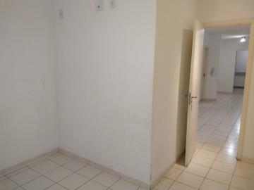 Alugar Casa / Condom&iacute;nio em S&atilde;o Jos&eacute; do Rio Preto R$ 1.800,00 - Foto 15