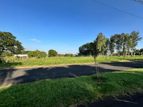 Comprar Rural / Ch&aacute;cara em S&atilde;o Jos&eacute; do Rio Preto R$ 800.000,00 - Foto 2