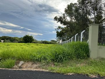 Comprar Rural / Ch&aacute;cara em S&atilde;o Jos&eacute; do Rio Preto R$ 800.000,00 - Foto 6