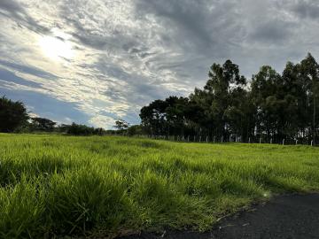 Comprar Rural / Ch&aacute;cara em S&atilde;o Jos&eacute; do Rio Preto R$ 800.000,00 - Foto 5