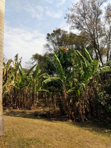 Alugar Casa / Condom&iacute;nio em S&atilde;o Jos&eacute; do Rio Preto R$ 4.500,00 - Foto 17