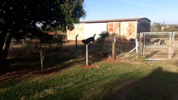 Rural / S&iacute;tio em Ipigu&aacute; 