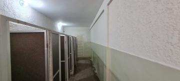Alugar Comercial / Sal&atilde;o em S&atilde;o Jos&eacute; do Rio Preto R$ 50.000,00 - Foto 17