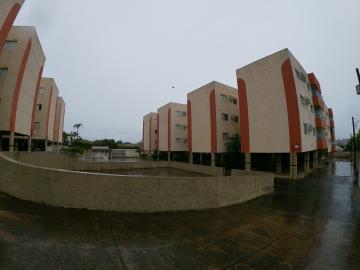 Alugar Apartamento / Padr&atilde;o em S&atilde;o Jos&eacute; do Rio Preto R$ 800,00 - Foto 22