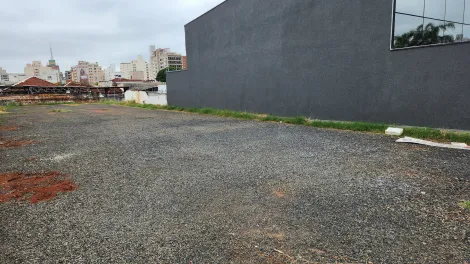 Terreno / Padr&atilde;o em S&atilde;o Jos&eacute; do Rio Preto 