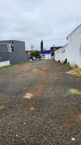Comprar Terreno / Padr&atilde;o em S&atilde;o Jos&eacute; do Rio Preto - Foto 3