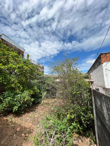 Alugar Casa / Padr&atilde;o em S&atilde;o Jos&eacute; do Rio Preto R$ 1.300,00 - Foto 9