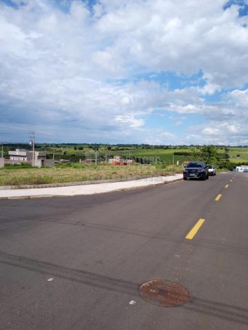 Comprar Terreno / Padr&atilde;o em S&atilde;o Jos&eacute; do Rio Preto R$ 140.000,00 - Foto 3