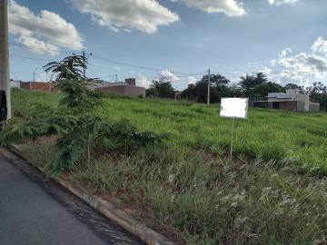 Comprar Terreno / Padr&atilde;o em S&atilde;o Jos&eacute; do Rio Preto R$ 110.000,00 - Foto 2