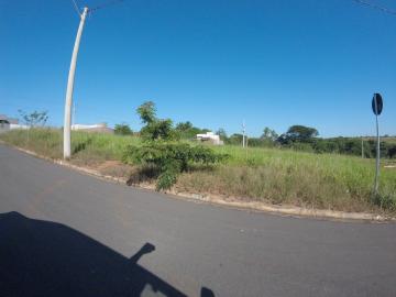 Terreno / Padr&atilde;o em S&atilde;o Jos&eacute; do Rio Preto 