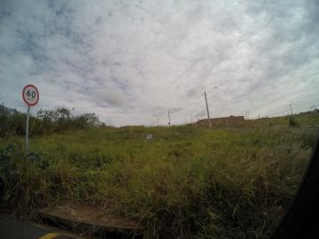 Comprar Terreno / Padr&atilde;o em S&atilde;o Jos&eacute; do Rio Preto R$ 400.000,00 - Foto 8