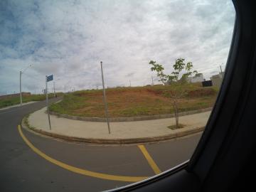 Terreno / Padr&atilde;o em S&atilde;o Jos&eacute; do Rio Preto 