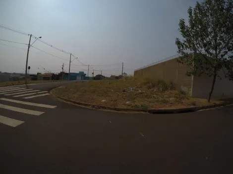 Terreno / Padr&atilde;o em S&atilde;o Jos&eacute; do Rio Preto 