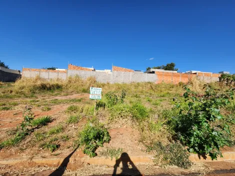 Comprar Terreno / Padr&atilde;o em Bady Bassitt R$ 95.000,00 - Foto 2