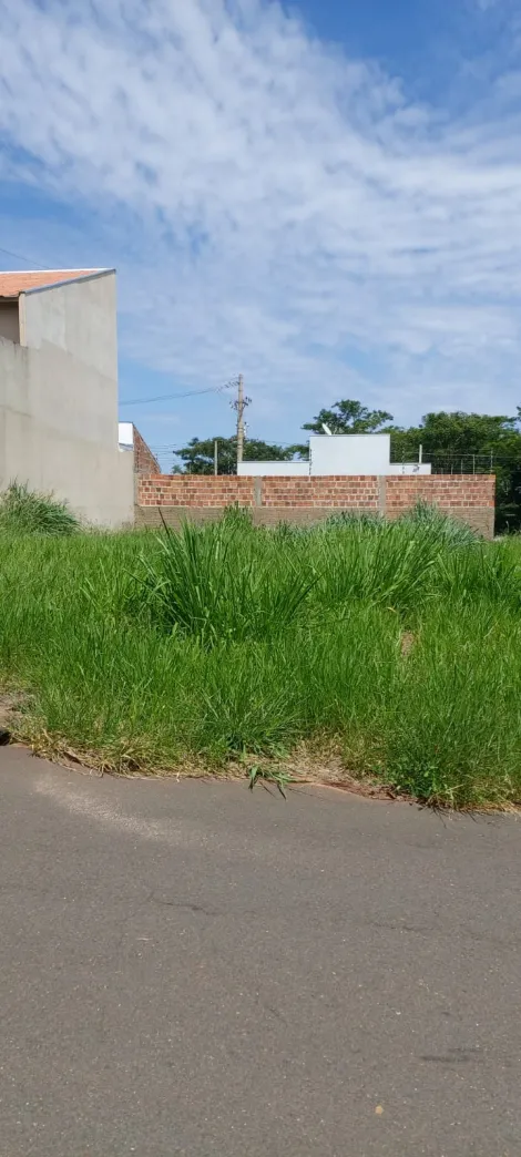 Comprar Terreno / Padr&atilde;o em Bady Bassitt R$ 110.000,00 - Foto 2