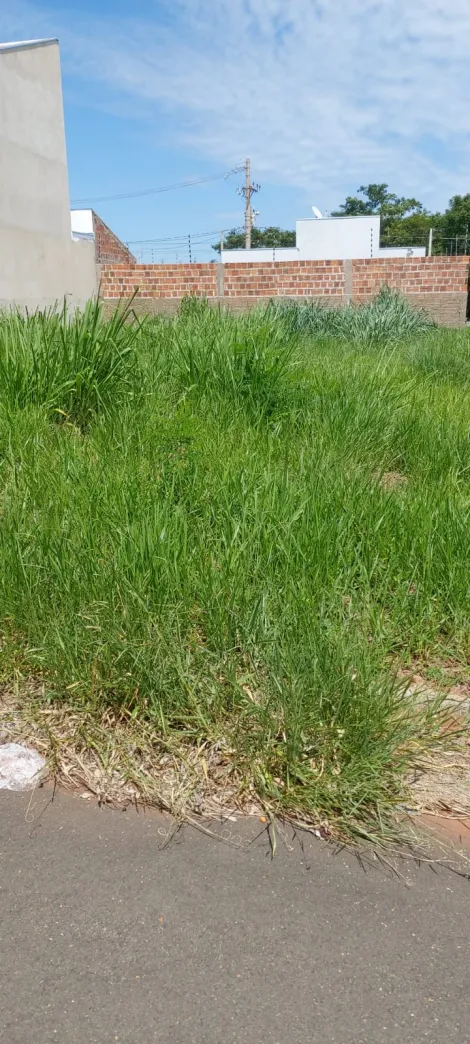 Comprar Terreno / Padr&atilde;o em Bady Bassitt R$ 110.000,00 - Foto 3