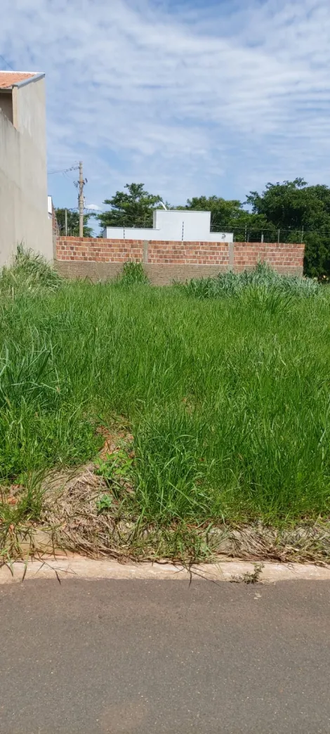 Comprar Terreno / Padr&atilde;o em Bady Bassitt R$ 110.000,00 - Foto 4