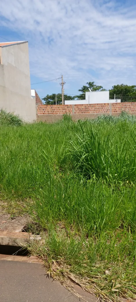 Comprar Terreno / Padr&atilde;o em Bady Bassitt R$ 110.000,00 - Foto 5