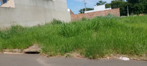 Comprar Terreno / Padr&atilde;o em Bady Bassitt R$ 110.000,00 - Foto 6
