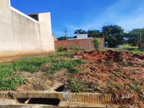 Comprar Terreno / Padr&atilde;o em Bady Bassitt R$ 110.000,00 - Foto 8