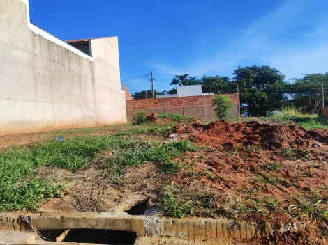 Comprar Terreno / Padr&atilde;o em Bady Bassitt R$ 110.000,00 - Foto 9