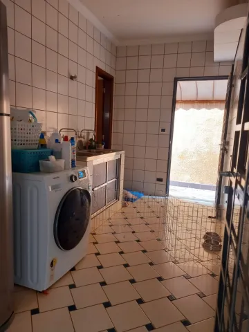 Alugar Casa / Sobrado em S&atilde;o Jos&eacute; do Rio Preto R$ 3.200,00 - Foto 14