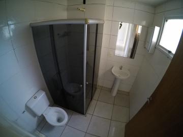 Alugar Apartamento / Padr&atilde;o em S&atilde;o Jos&eacute; do Rio Preto R$ 800,00 - Foto 9
