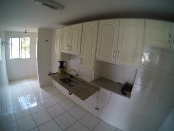Alugar Apartamento / Padr&atilde;o em S&atilde;o Jos&eacute; do Rio Preto R$ 800,00 - Foto 14