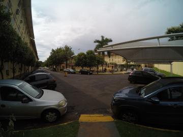 Alugar Apartamento / Padr&atilde;o em S&atilde;o Jos&eacute; do Rio Preto R$ 800,00 - Foto 17