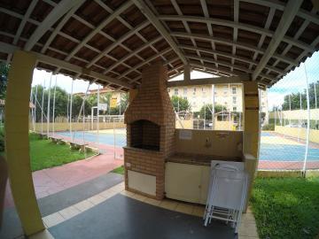 Alugar Apartamento / Padr&atilde;o em S&atilde;o Jos&eacute; do Rio Preto R$ 800,00 - Foto 18