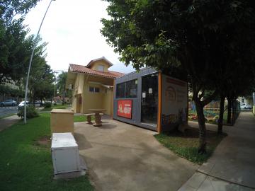 Alugar Apartamento / Padr&atilde;o em S&atilde;o Jos&eacute; do Rio Preto R$ 800,00 - Foto 21